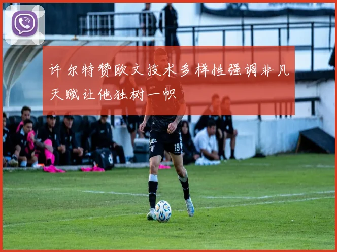 许尔特赞欧文技术多样性强调非凡天赋让他独树一帜