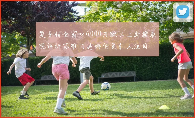 夏季转会窗口6000万欧以上新援表现评析苏维门迪姆伯莫引人注目