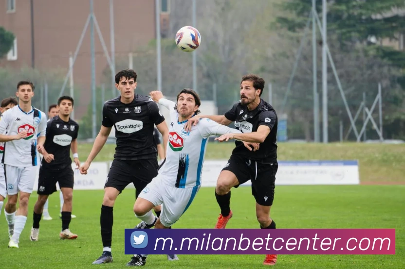 米兰体育全站App